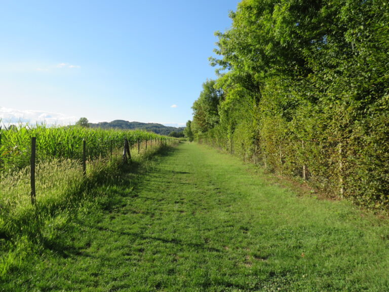 Accès à la Vézère