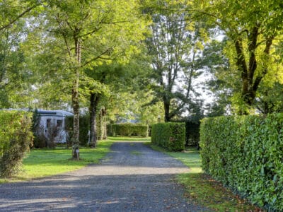 Emplacements nus, plats, majoritairement arborés et délimités par des haies au camping La Salvinie