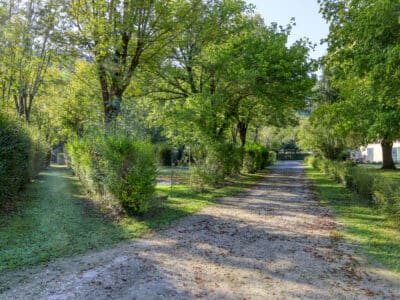 Allée du camping la Salvinie